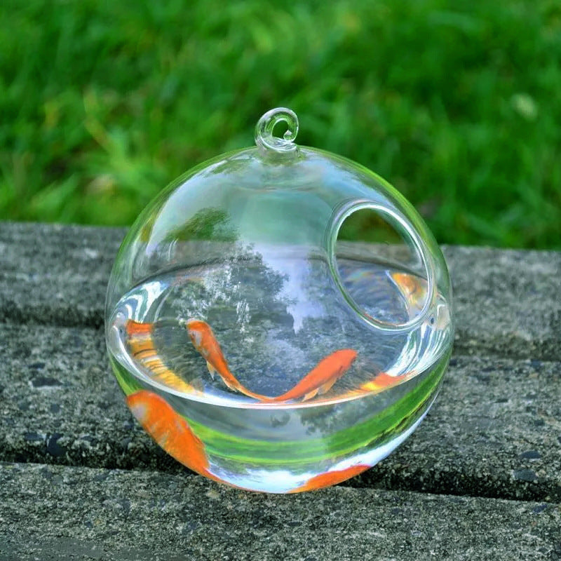 Hanging Glass Vase & Mini Fish Tank – Home & Office Decoration