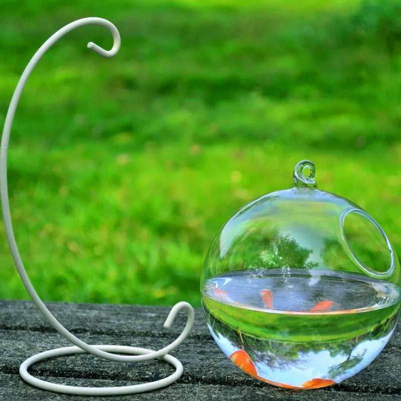 Hanging Glass Vase & Mini Fish Tank – Home & Office Decoration