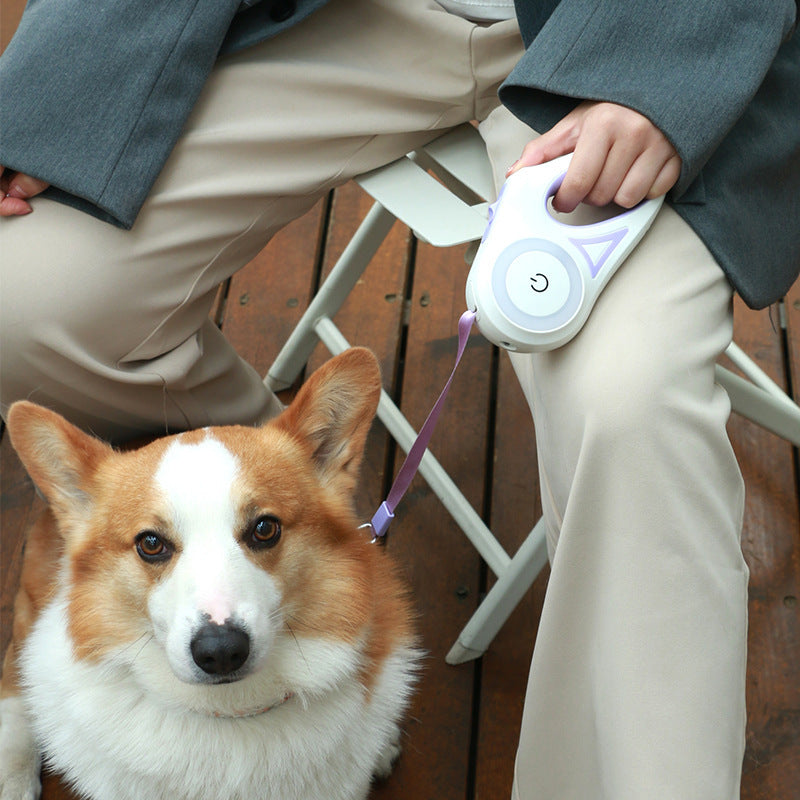 Retractable Dog Leash & Collar Set – Automatic Traction Rope for Small & Medium Dogs