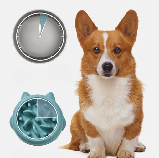Dog & Cat Slow Feeder Plate – Healthy Eating Anti-Choke Bowl