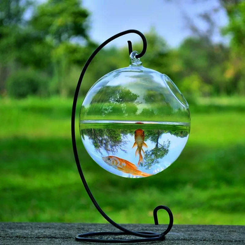 Hanging Glass Vase & Mini Fish Tank – Home & Office Decoration