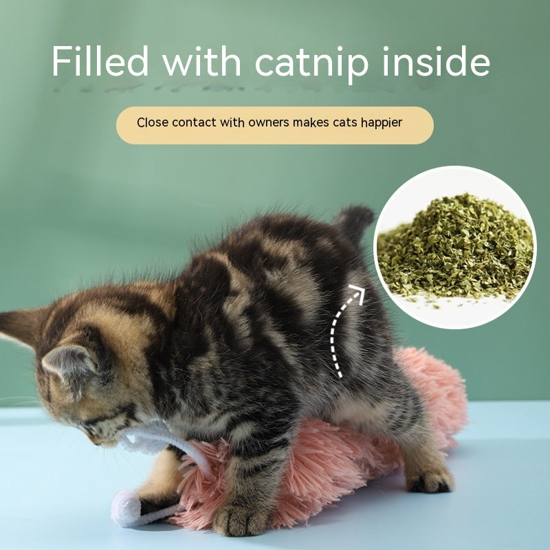 Caterpillar Ringing Cat Toy – Bite-Resistant Paper Play Toy