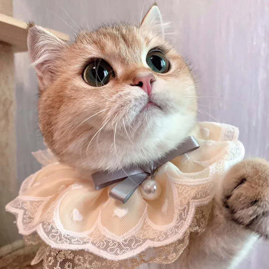 Cute Cat Bib – Pet Saliva Towel & Drool Absorber