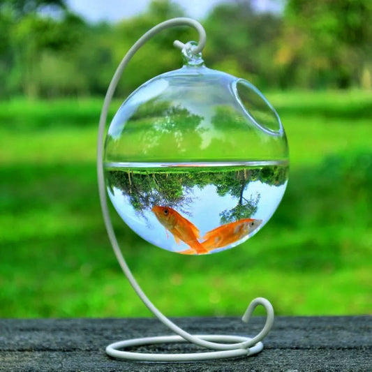 Hanging Glass Vase & Mini Fish Tank – Home & Office Decoration